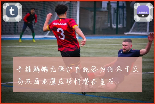 手握鹈鹕无保护首轮签为何急于交易浓眉老鹰应珍惜潜在基石