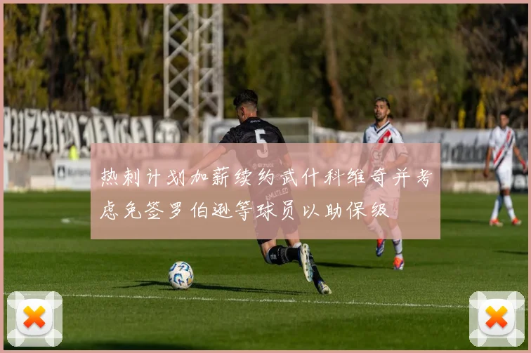 热刺计划加薪续约武什科维奇并考虑免签罗伯逊等球员以助保级