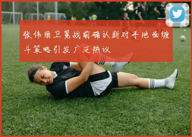 张伟丽卫冕战前确认新对手地面缠斗策略引发广泛热议