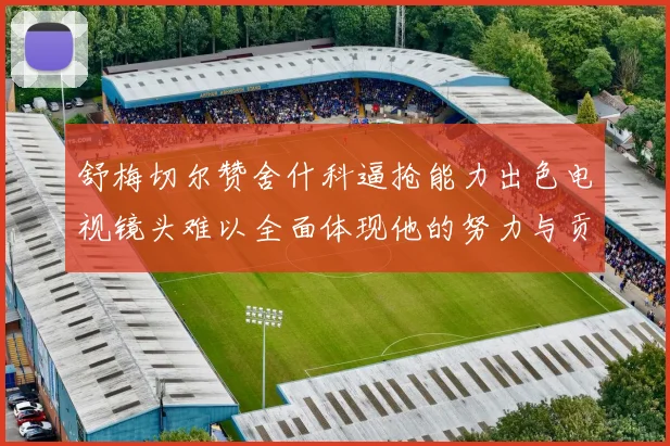 舒梅切尔赞舍什科逼抢能力出色电视镜头难以全面体现他的努力与贡献