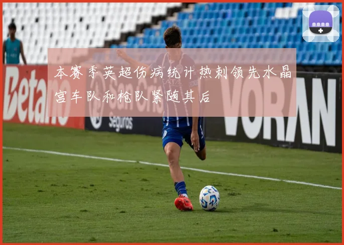 本赛季英超伤病统计热刺领先水晶宫车队和枪队紧随其后