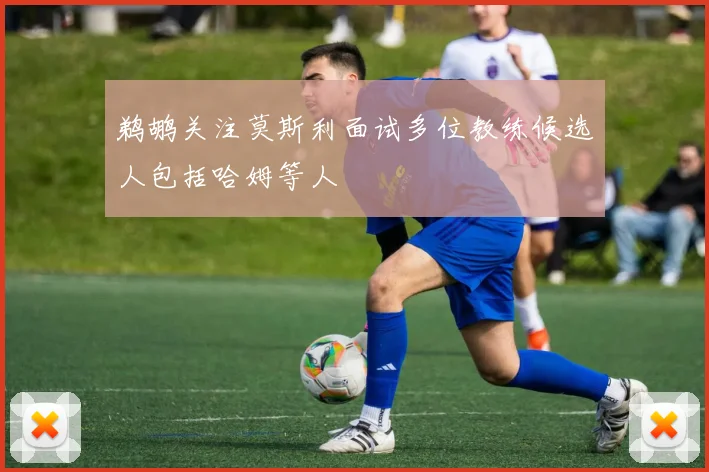 鹈鹕关注莫斯利面试多位教练候选人包括哈姆等人
